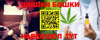 прущие грибы Ирбит