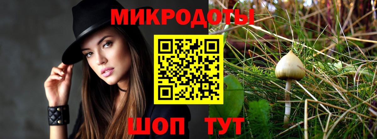Псилоцибиновые грибы Cubensis  Вход с VPN  Краснознаменск 